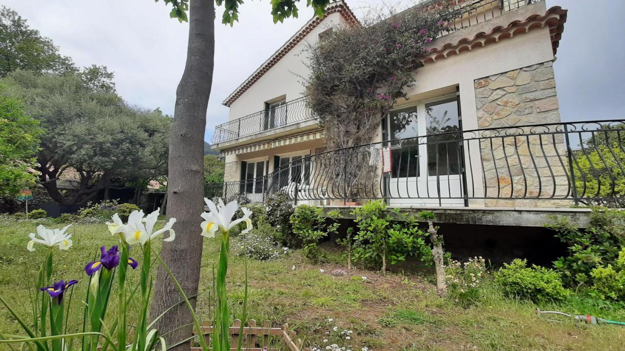 Maison Lumineuse Et Spacieuse Avec Jardin Arbore La Valette-du-Var Buitenkant foto
