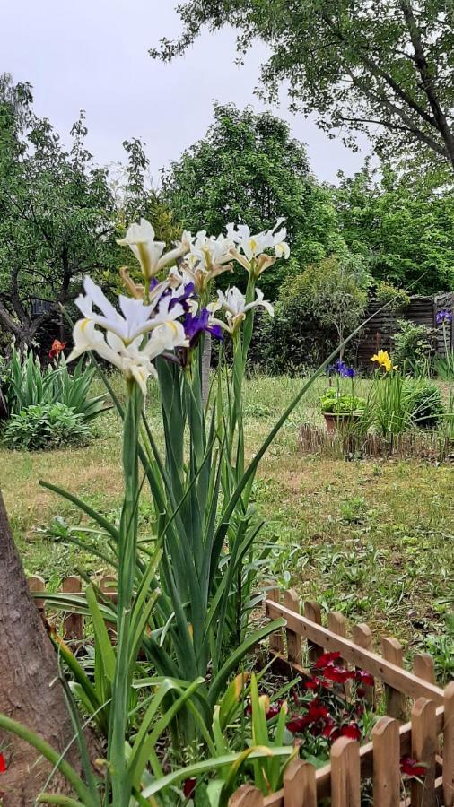Maison Lumineuse Et Spacieuse Avec Jardin Arbore La Valette-du-Var Buitenkant foto